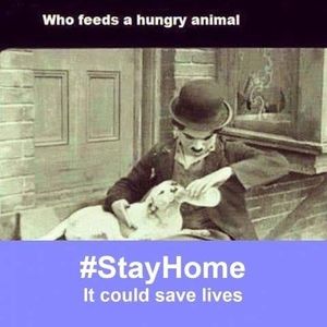 Meet your Posher, Earl